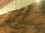 Agricultores estocam grãos à espera de melhora nos preços no PR.